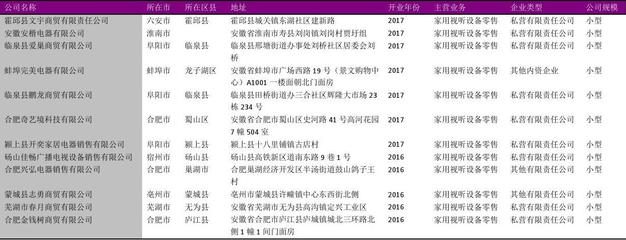 安徽省家用视听设备零售行业发展报告（2018版）——基于1226家企业名录的分析