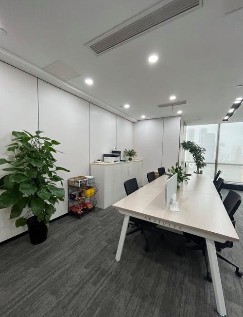 显示器件、电子产品及数字视听设备销售 经营范围与业务概述